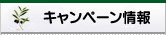 キャンペーン情報